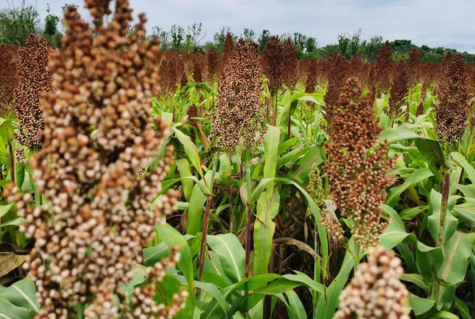 1637201445352608.jpg 微信圖片_20211118101002.jpg